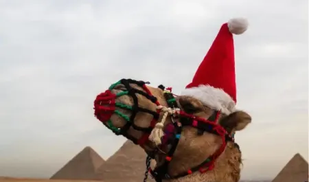 Egypt Christmas Tour